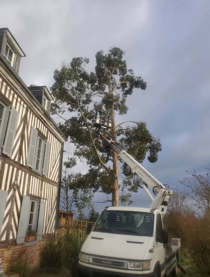 Jardin entretenu par un jardinier de Lisieux