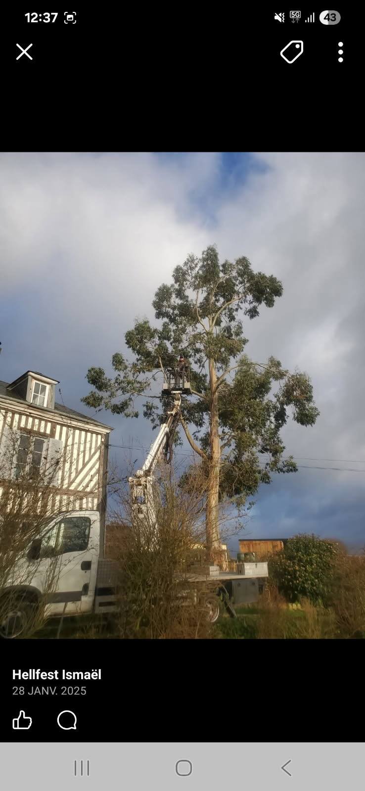 Entretien d'espace vert dans le Calvados
