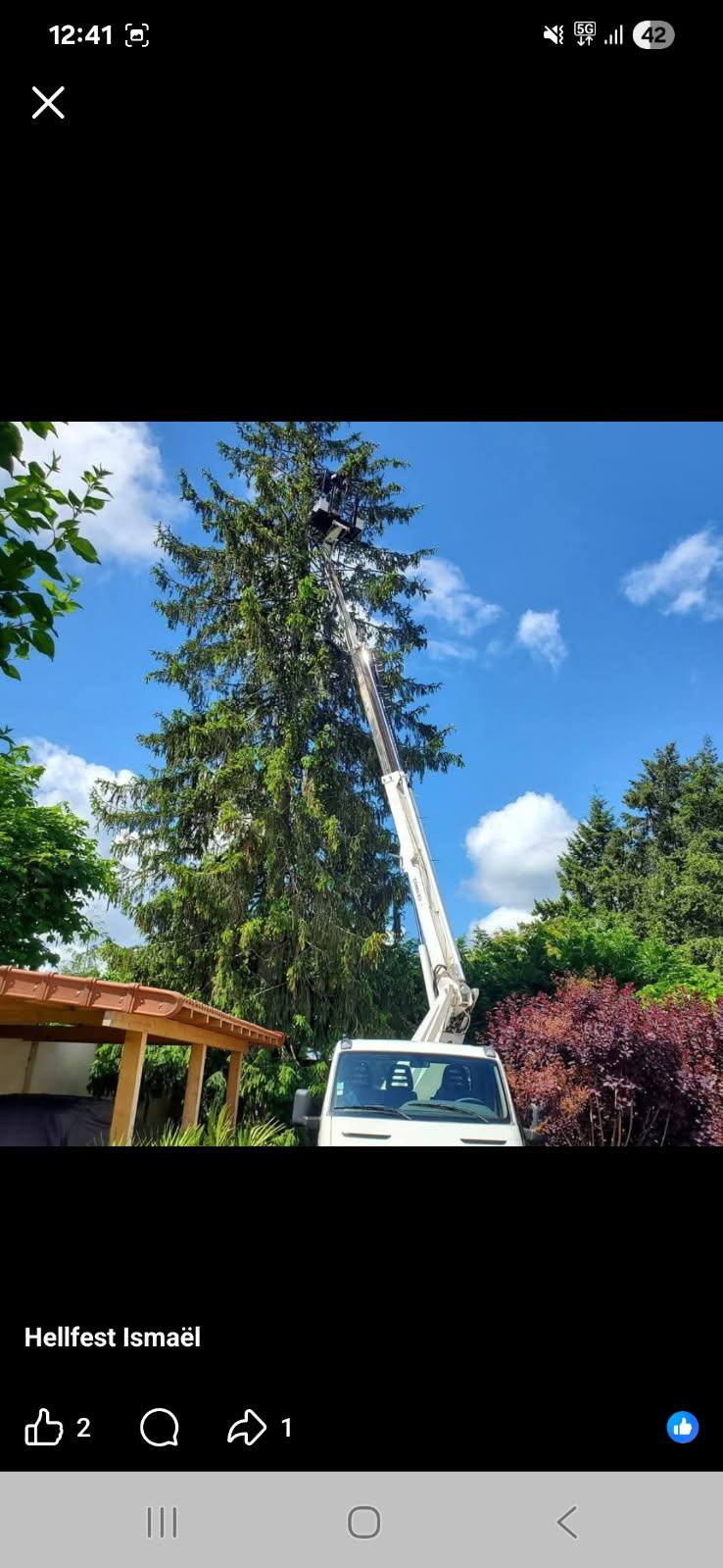 Chantier d'abattage d'arbre à Lisieux